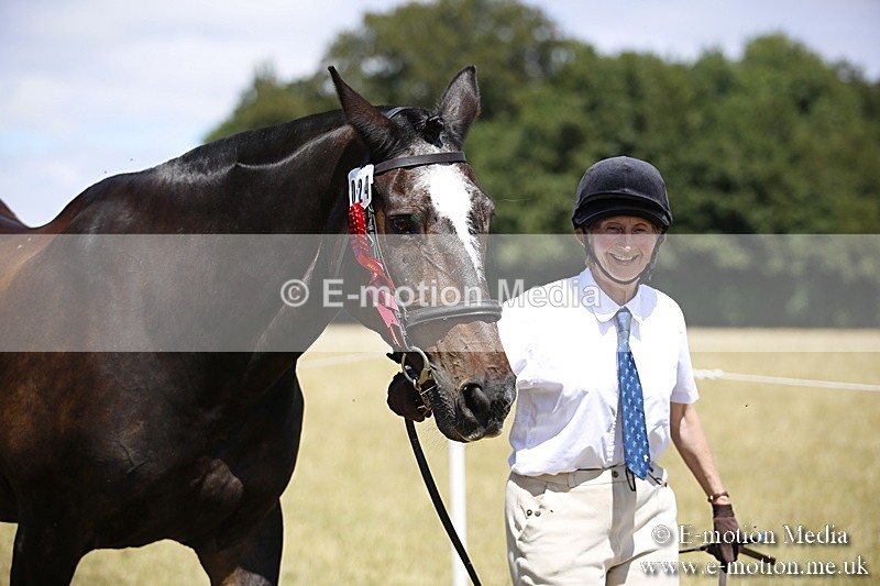 _C7A0089 - In Hand Championship BVRC Show 2018