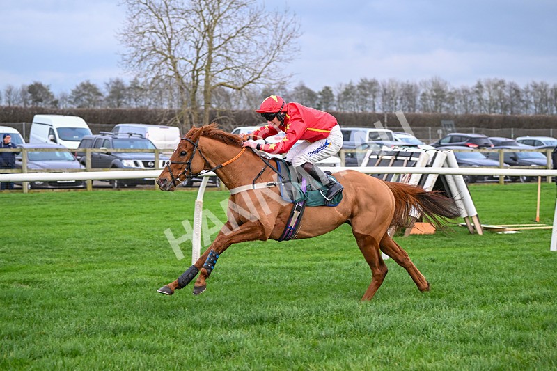 171224-Race 4-Wise Eagle-3327 - Race 4