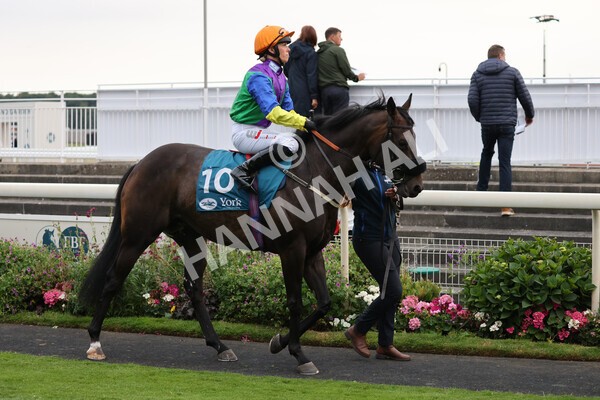 yr22072022r7-19 - Race 7 8.25pm The Sky Bet Go-Racing-In-Yorkshire Summer Festival Stakes