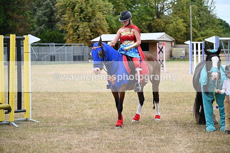 WJ6_9087 - Class 11 Fancy Dress