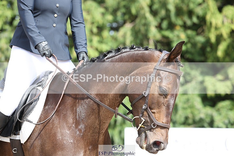 230811-151011-02387 - Cls 1 Prelim Bronze 15.00 to End