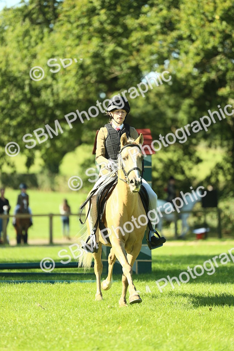 SBM_37490 - S29 - Novice & Newcomers Working Hunter Pony
