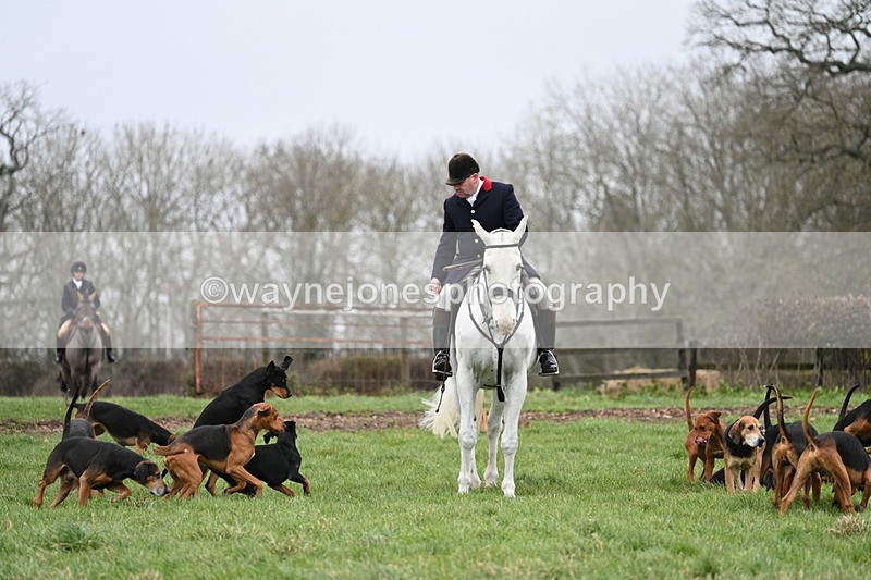 WJ7_4108 - Meet