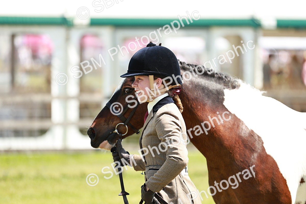 SBM_15494 - Class 108-109 - BSPS LIHS Open Gradle & Nursery Stakes
