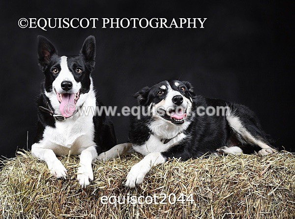 equiscot2044 - SKY & NELL