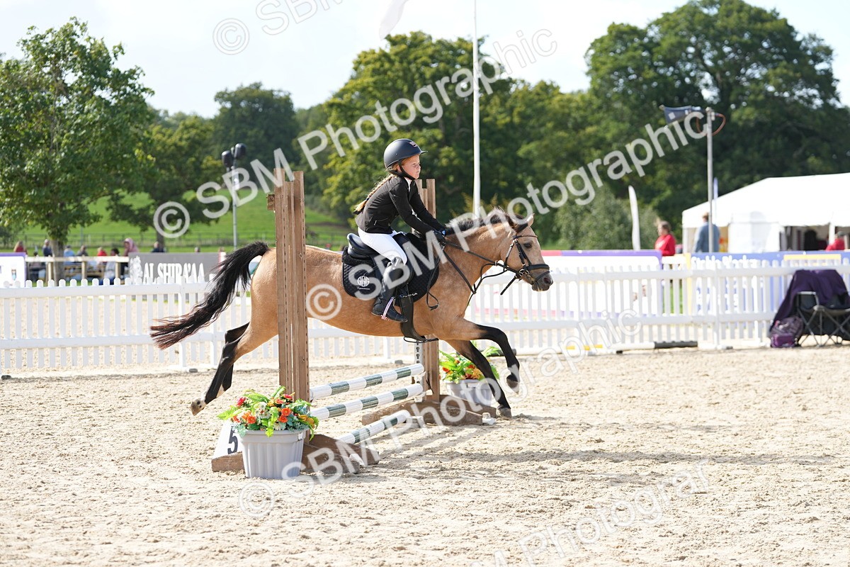 SBM_17783 - J58 - Clear Round 50cm