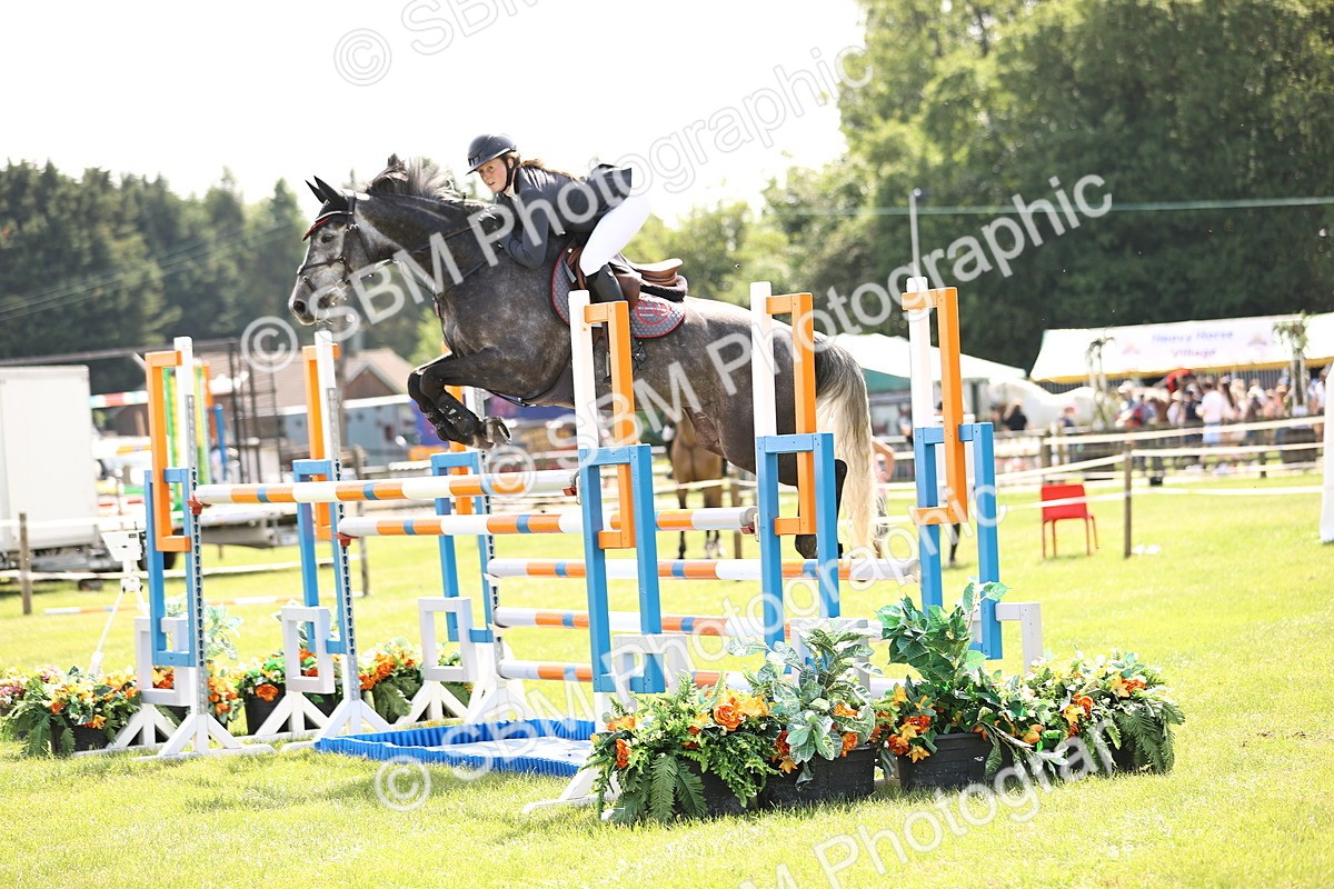 SBM_03236 - Class 201 - British Horse Feedds Speedi Beet HOYS Grade C