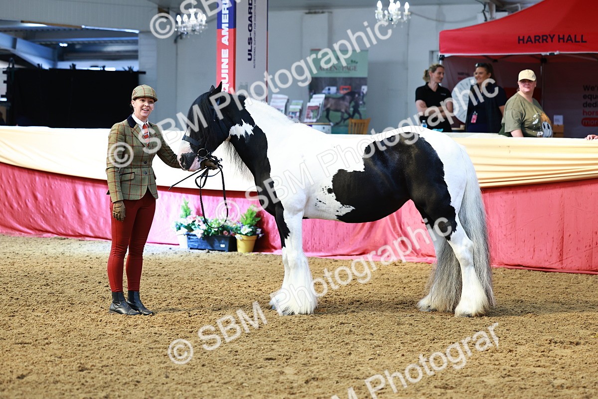 SBM_23241 - Class 903 - Supreme Final - IH Pre Vet