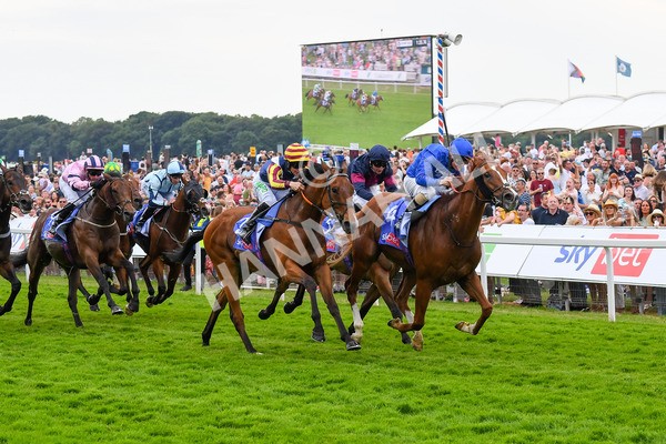 170623-Race 2-Wild Lion-0360 - Race 2 2.35pm Sky Bet Handicap