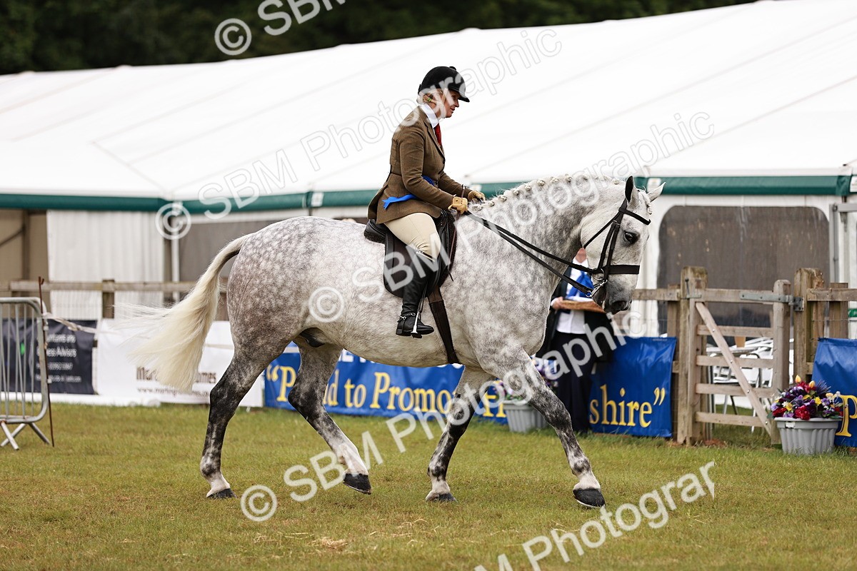 SBM_11545 - Class 81-84 - RIHS Ridden hunters Inc Ladies Hunter