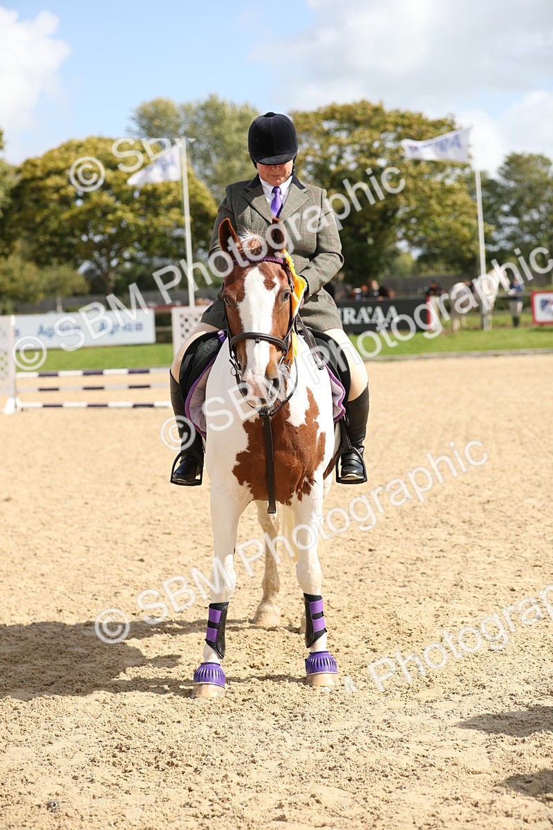 SBM_05830 - J35 - Veteran Rider 60cm