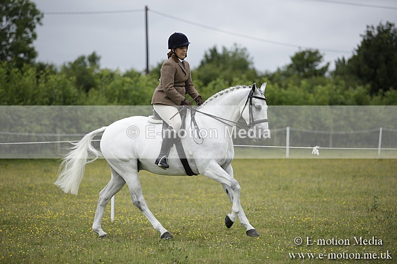 BVR160717-774 - Ring 1 BVRC Show 16/07/17