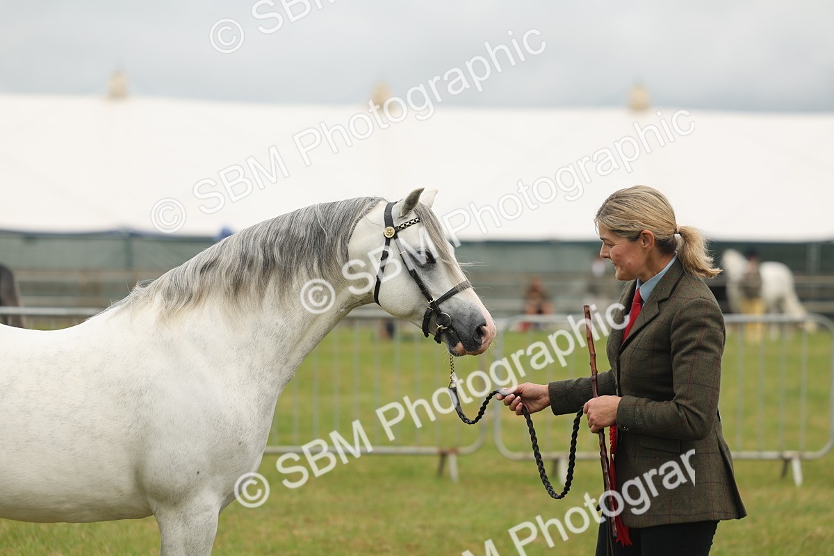 SBM_02269 - Class 50-57 - M&M Welsh Pony In Hand
