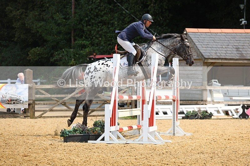3E7A1678 - Class 4: Senior British Novice/90cm open