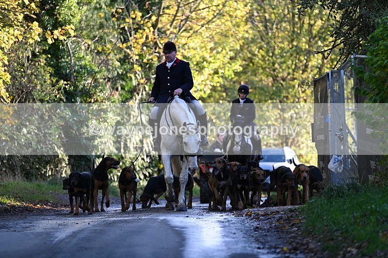 WJ7_8596 - Walk Home