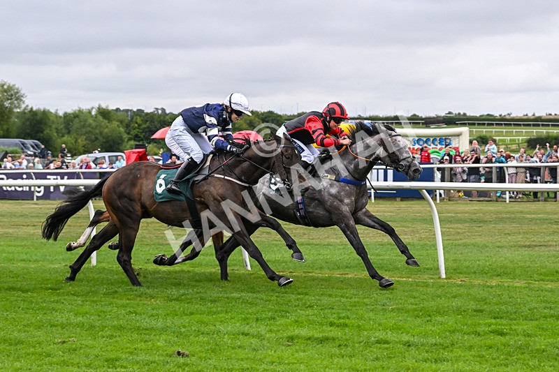 180825-Race 1-Stellarmasterpiece-8166 - Race 1