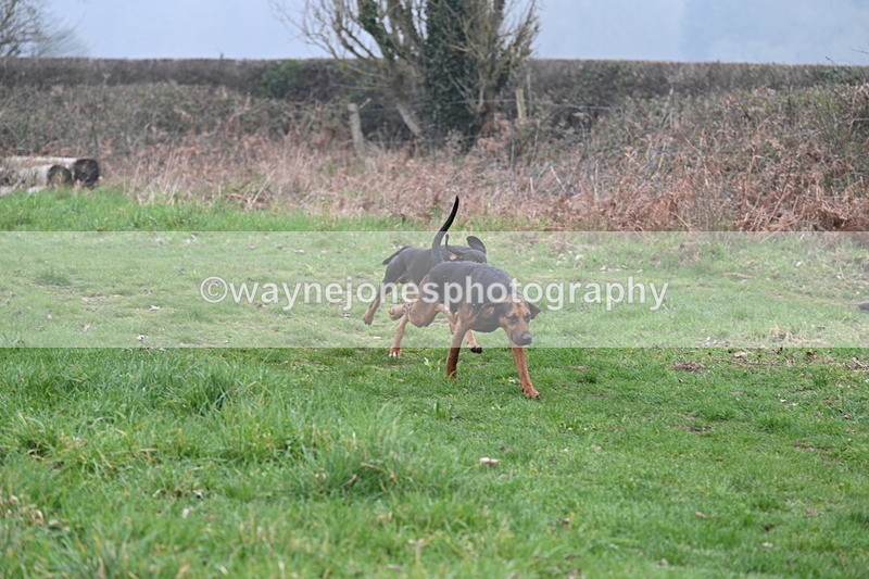 WJ7_0287 - Line 2 cam A