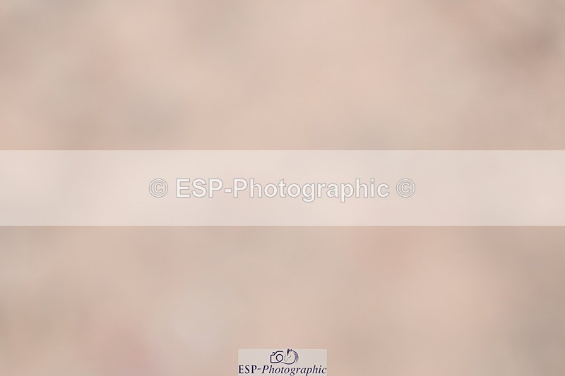 250621-142722-08761 - Cls 38 - FEI PSG