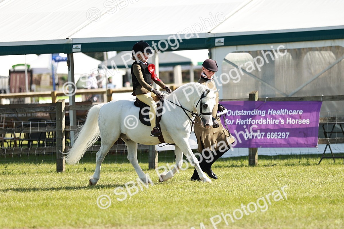 SBM_11344 - Class 106-107 - BSPS LIHS Working Sports Pony