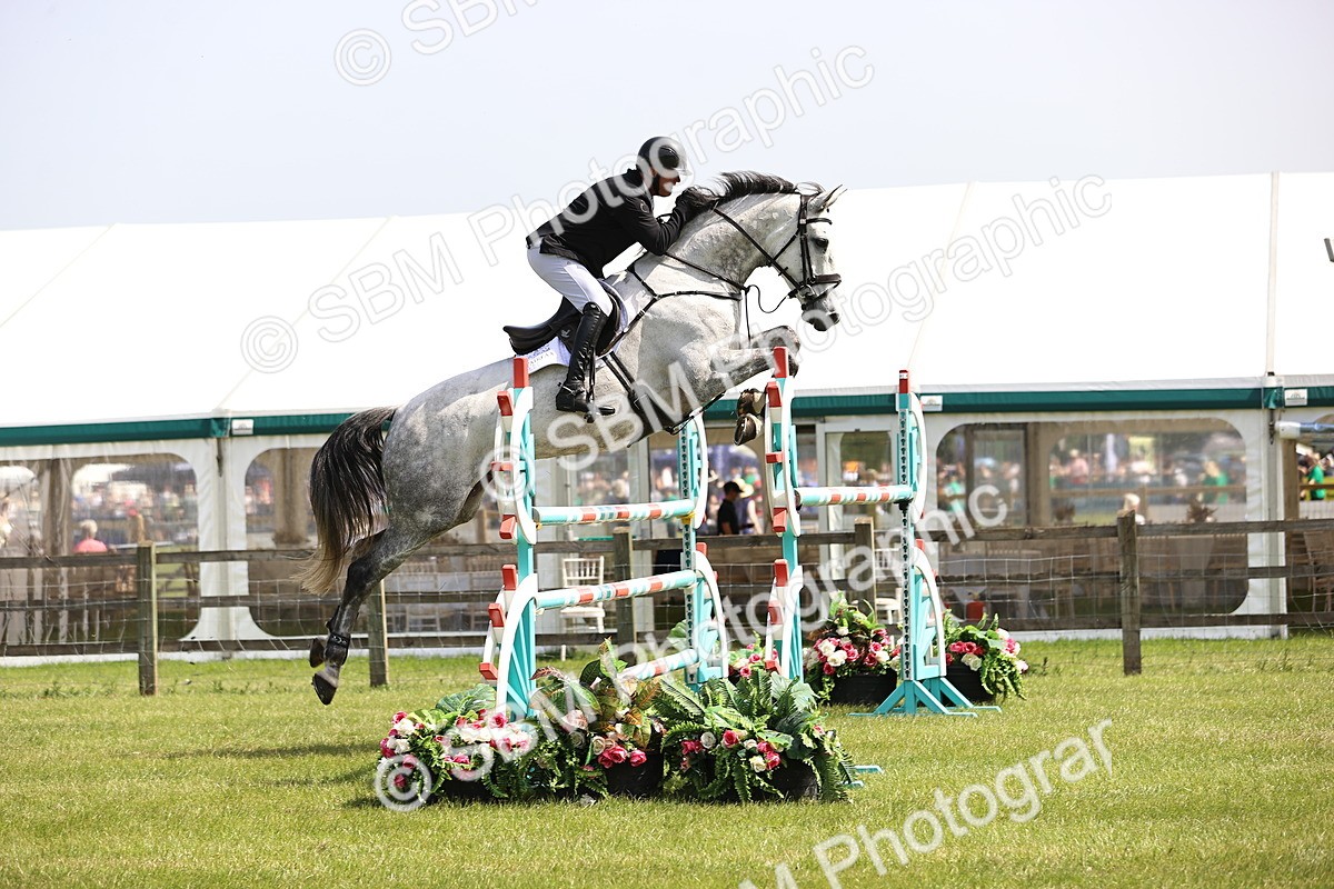 SBM_03282 - Class 201 - British Horse Feedds Speedi Beet HOYS Grade C