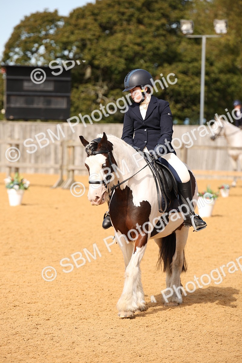 SBM_21784 - D5 - Small Tour Championship - Intro C