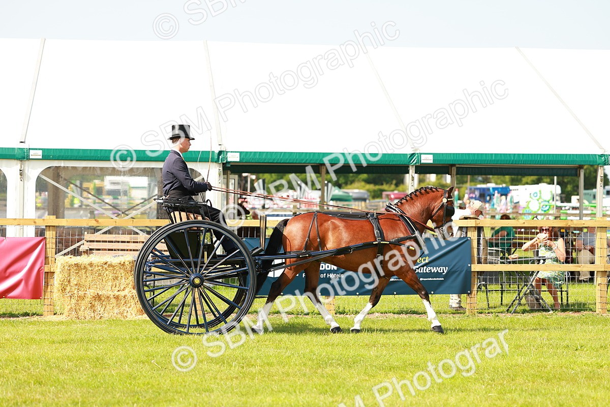 SBM_02562 - Class 2-4 - HOYS Private Driving