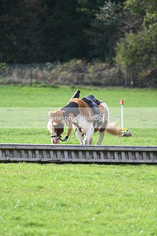 WJ7_3969 - 40cm Time 10:26 to 10:42