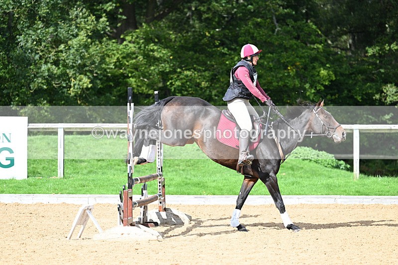 WJ7_3162 - Time 13:20 to 13:58