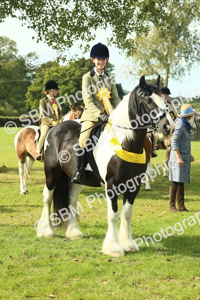 SBM_68975 - S58 - Mini Show Cob Ridden