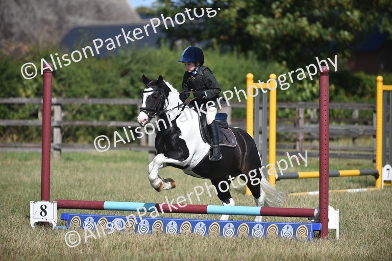 20260906-1401 - Class 8 - Hoof and Foot