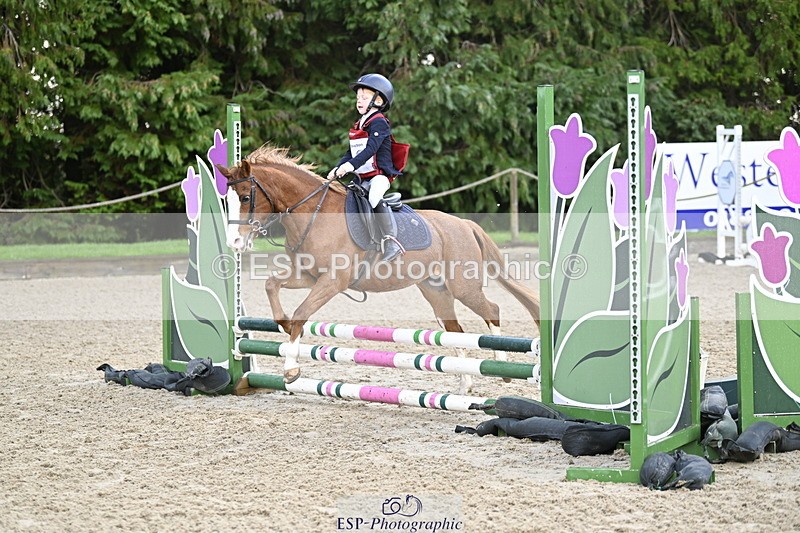 251005A-090818-02956 - Cls 02 GR 50cm