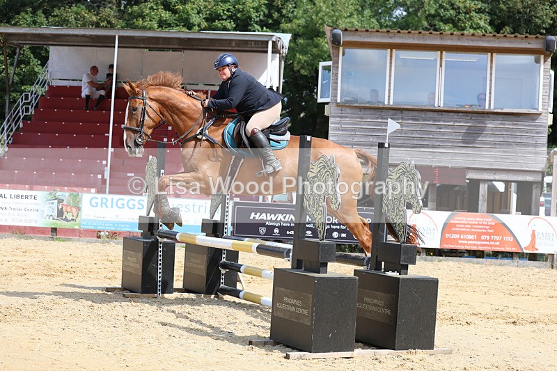3E7A3525 - Class 4: Senior British Novice/90cm open