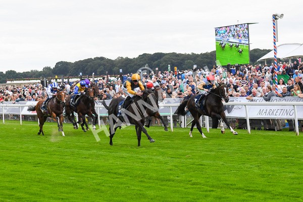 230823-Race 2-Indian Run-0332 - Race 2 2.25pm Tattersalls Acomb Stakes