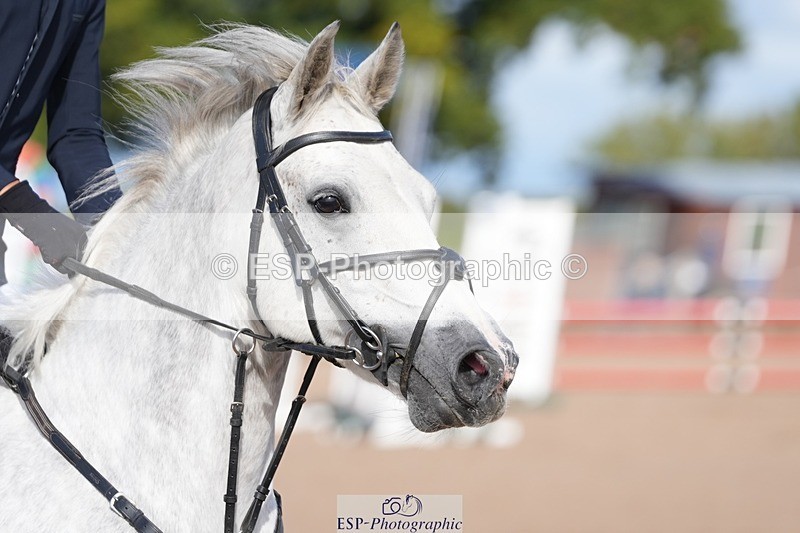 250921-105843-02453 - Cls 5 Pony Discovery and 90cm