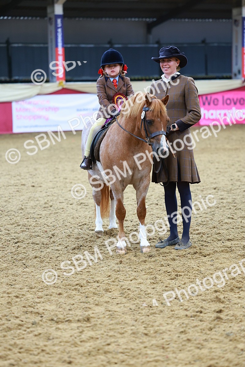 SBM_09872 - Class 102 - HOYS Veteran Qualifier - Ridden Veteran