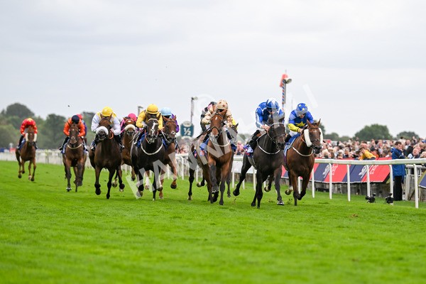 200825-Race 5-Santorini Star-1820 - Race 5 4.10pm Sky Bet Stayers Handicap