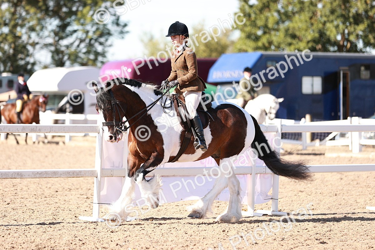 SBM_12480 - Class 403 - Grassroots Ridden - Junior