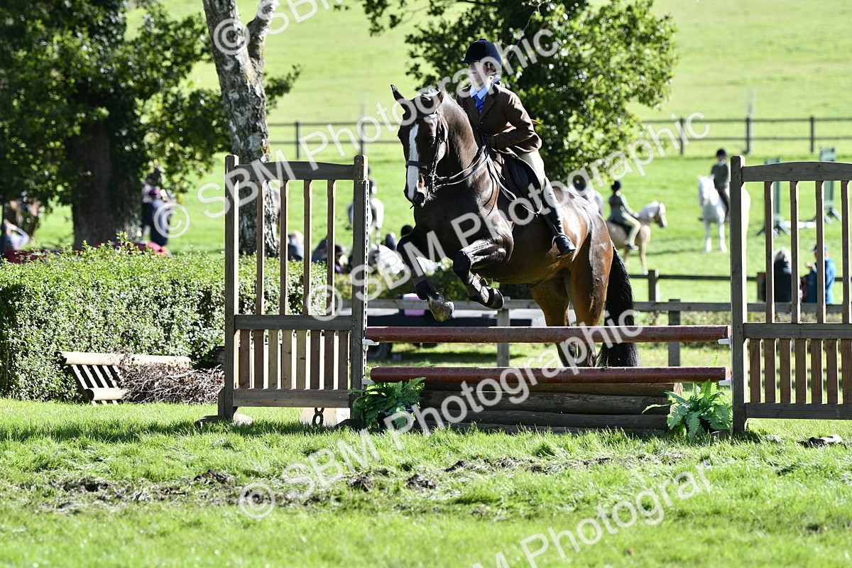 SBM_50011 - S34 - Novice & Newcomers Working Hunter