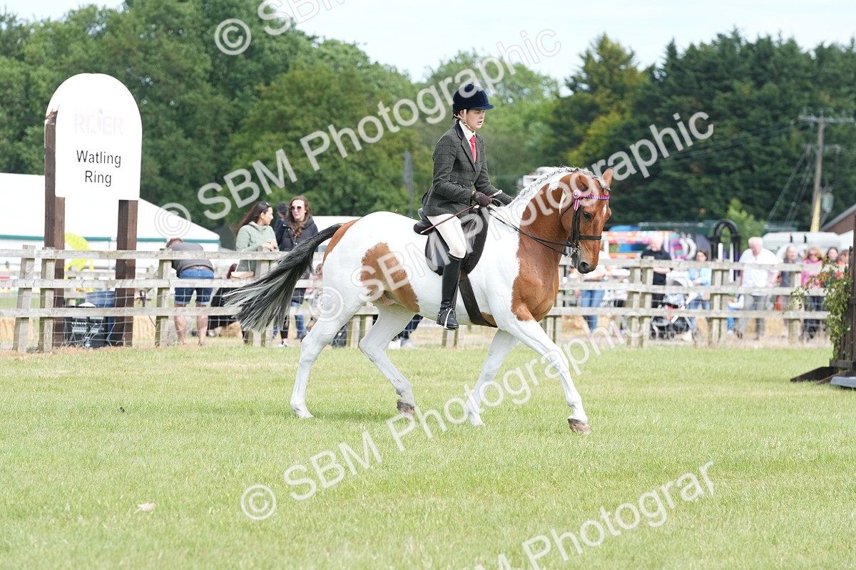 SBM_17564 - Class 107-108 - LIHS BSPS Performance Coloured Horse Pony