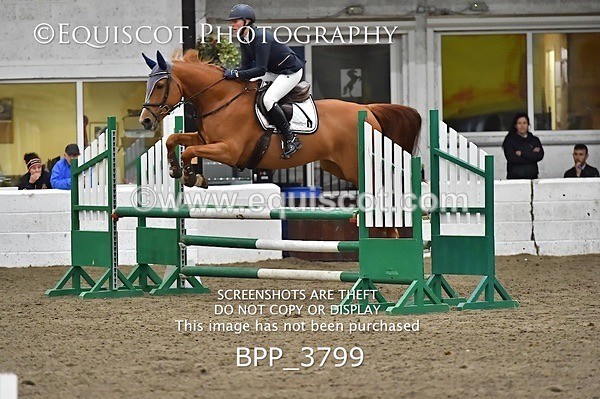 BPP_3799 - FRI CLASS 21 BR NOVICE/90CM