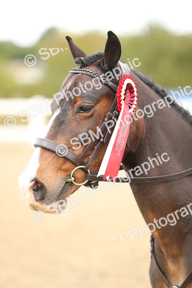 SBM_05264 - Class 47b Style & Performance 60cm (20+)