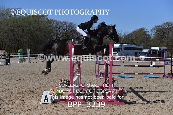 BPP_3239 - CLASS 15 Senior Foxhunter/ 1.20m Open
