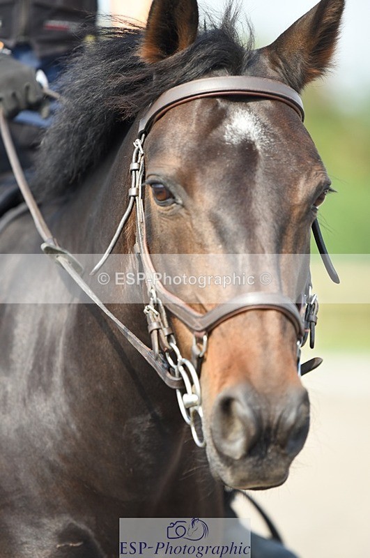 230817-101200-01690 - Kay's 2nd Group - Arena