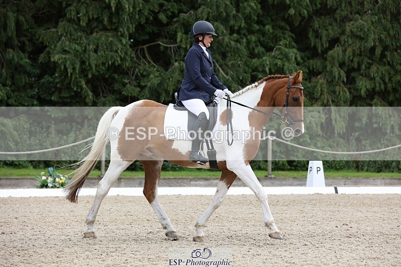 230813-133938-07395 - Cls 11 Elem Bronze 13.15 to 14.10 break