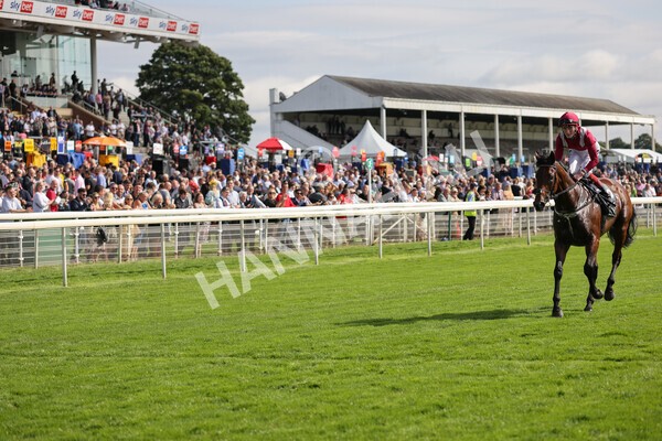 yr18082021r4-110 - Race 4 3.35pm Juddmonte International Stakes (British Champion Series race)