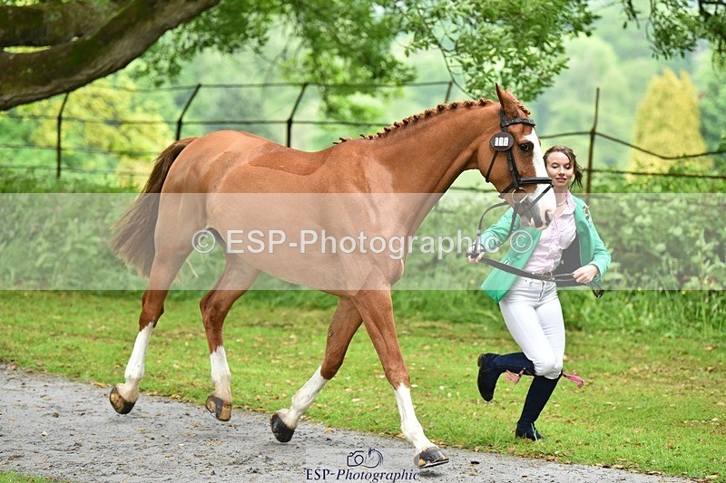 240522-160118-00650 - 114-NICO-Holly_Clarke