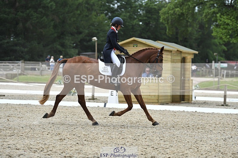 230525-125416-02053 - 112-BILLY_MAPLE-Kitty_King-WEDTrotUp+DR