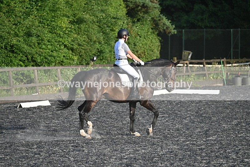 WJ7_0567 - Time 19:38 to 20:00