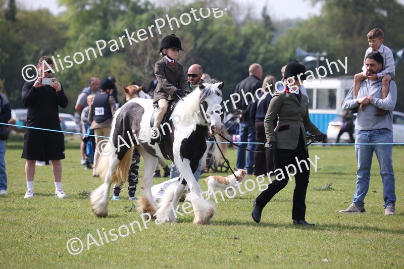 20260426-2553 - Class 31 - Leading Rein