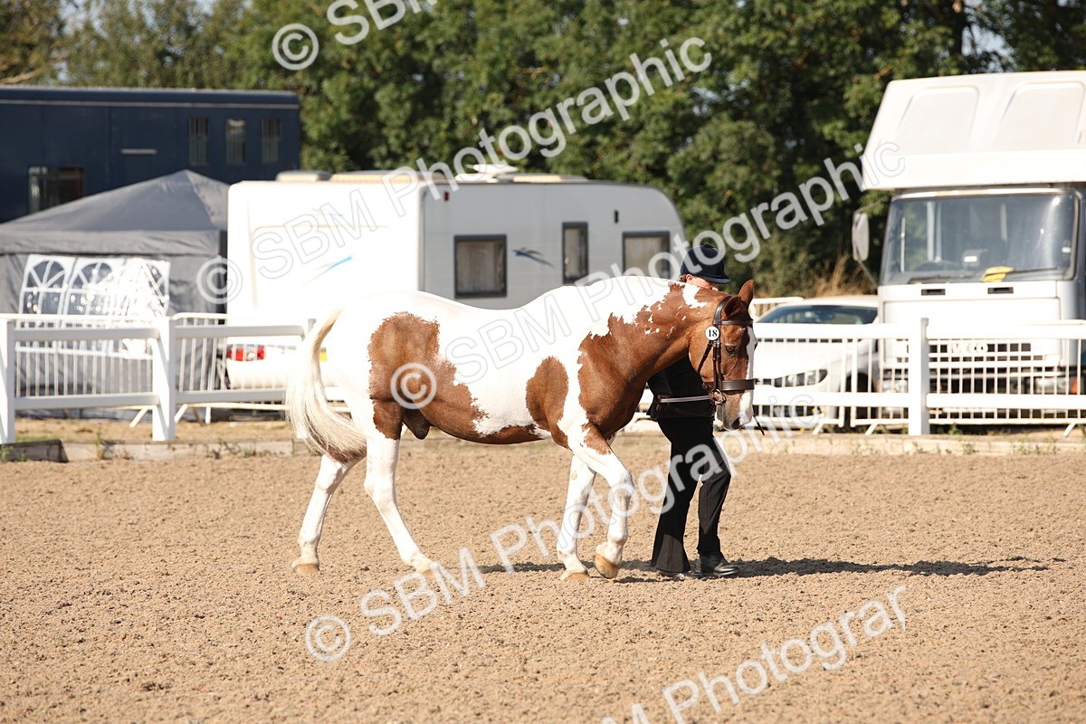 SBM_01430 - Class 15 IH Coloured